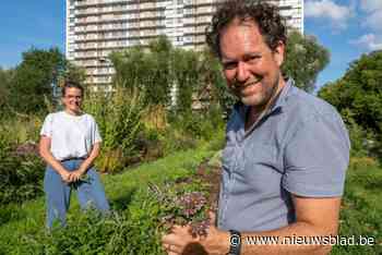 Lekkeroever leert kinderen over natuur in alle vormen: “Uiteindelijk enthousiasmeren ze hun ouders en komt de wijk echt samen”