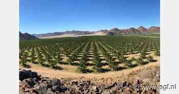 EU-EPA-programma stimuleert teelt en export van fruit in Namibië