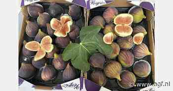 "Goede vraag naar Turkse vijgen"