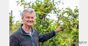 Nieuw zonne-systeem fruitteeltbedrijf Zeeland mede voor stroomvoorziening koelcellen