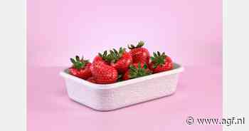 Papacks: pulpverpakkingen gemaakt van hernieuwbare grondstoffen