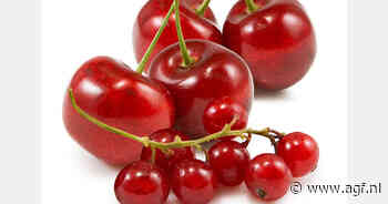 Turkse dominantie in kersenexport houdt aan