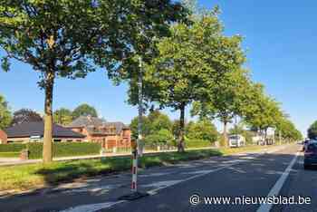 Asfalteringswerken op Provinciesteenweg tussen Boechout en Lier zijn begonnen