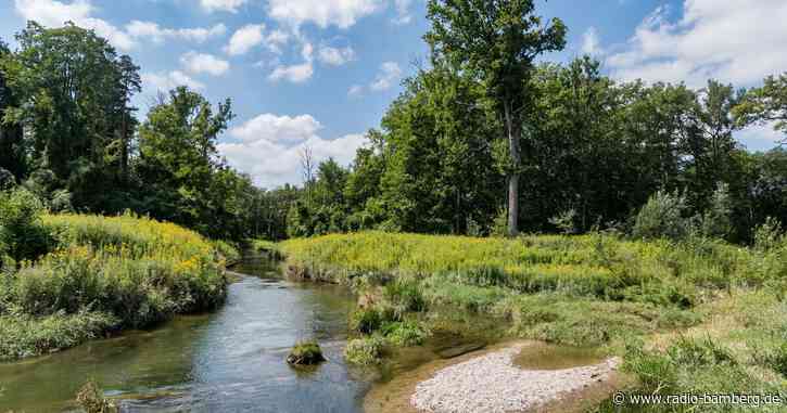Grüne: Bayerns Hochwasserschutz muss auch Österreich helfen
