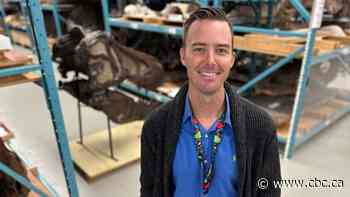 Dino-might! Dinosaurs may have been even bigger than we thought