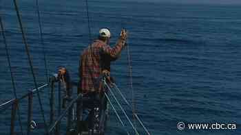N.S. swordfish harpoon fleet testing new gear, sets sights on tourism