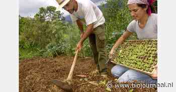"Bio-boerderijen gecertificeerd door collega's tonen hogere productdiversiteit"