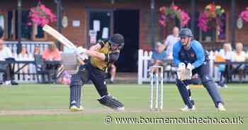 Lions fall just short against Bashley