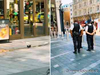 Terrore in centro a Londra: accoltellate una bambina e una donna