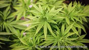 17-Jähriger fährt unter Cannabis-Einfluss und wird erwischt