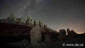 IN PHOTOS | Perseid meteor shower a stargazer's delight