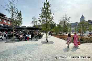 Tweede meting met weerstations in centrum van Genk moet uitwijzen wat effect is van vergroening