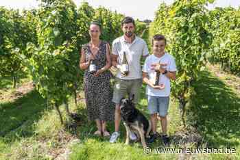 Jarig wijngoed Choupette opent twee weekends de deuren: “Kijken uit naar onze mousserende wijnen”