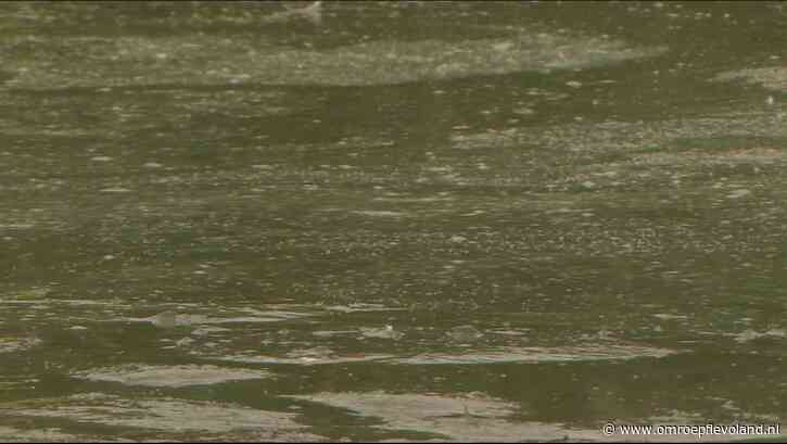 Flevoland - Zwemmen met dit zomerse weer? Dat kun je beter niet doen bij deze zes stranden