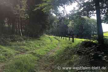 Unbekannter Toter im Wald: Hilft ein Tattoo weiter?