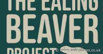 Greenford baby beavers create little bit of history