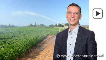 Aardappelmarkt kan hoofd moeilijk koel houden