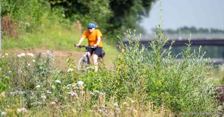 Neue Radl-App mit Offline-Karten