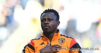 Tim Walter offers injury update on Hull City trio ahead of Sheffield Wednesday tie