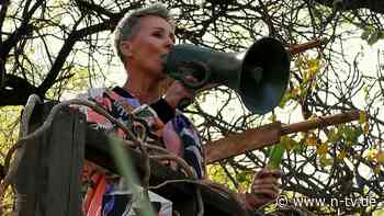 Allstars-Staffel mit Änderungen: Worauf sich die "Dschungel-Legenden" einstellen müssen