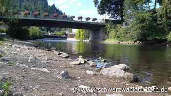 Schwimmen im Fluss: Baden in Enz und Nagold – ist das erlaubt?