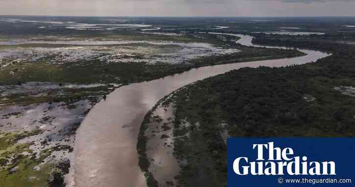 Pantanal waterway project would destroy a ‘paradise on Earth’, scientists warn