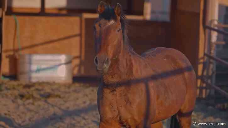 The Ranches celebrates 80 years of helping at-risk teens in New Mexico