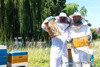 Zomerhoning van Bie Paulus opnieuw te koop: “Opbrengst gaat naar strijd tegen armoede”