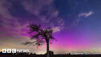 Meteor shower stuns stargazers in the south