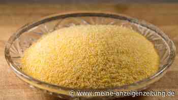 Schnecken mit Maismehl bekämpfen – Mythos oder wirksames Hausmittel?