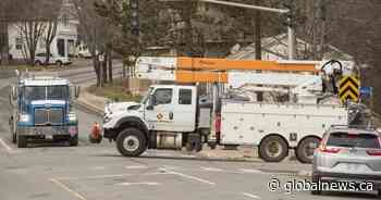 Bird on a wire: New Brunswick Power blames ospreys for outages on sunny days