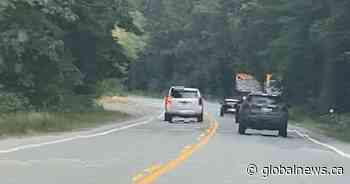 Video captures driver’s close call on Highway 4 on Vancouver Island