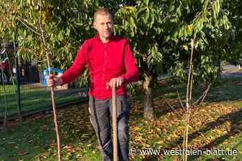Brautmeier bietet alte Obstsorten für Hobbygärtner an