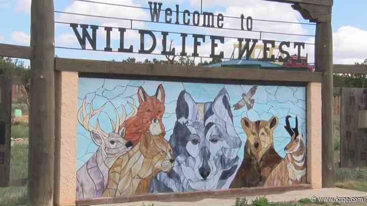 Wildlife West Nature Park welcomes a black bear cub