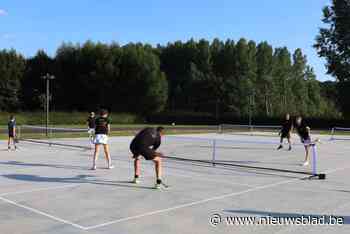 Pickleball-pleinen in Pliniuspark ingehuldigd: “Wij zijn niet de grootste, maar wel de beste club van België”