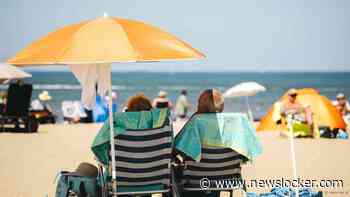 In beeld | Koelte bij de airco of bakken op het strand: tropische hitte in Nederland