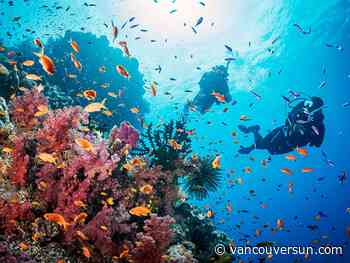 With more than 300 picture-perfect islands Fiji is for everyone 