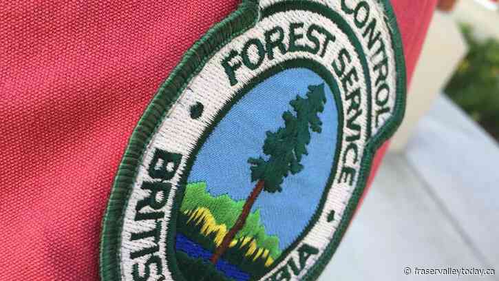 BCWS monitors Chilliwack wildfires after over 100 lightning strikes in region Sunday