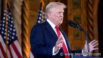 The Big Stories: Trump speaks with Musk on X, and Harris takes on tip taxes