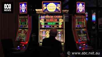 Alex Greenwich calls for poker machines to be 'given a rest' in Anzac Day ban proposal