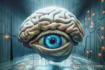 Decoding Visual Deceptions: How the Brain Predicts and Rewrites Reality