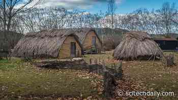 Seeds of Civilization: Scientists Unearth 7,000-Year-Old Farming Secrets in Western Europe