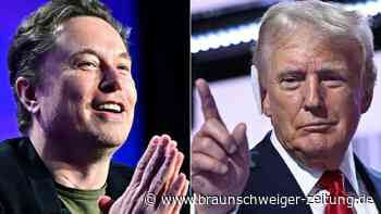 Auf Trumps Lügen hat Elon Musk oft nur eine Antwort: „Yeah“