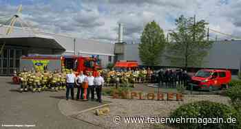 Die Hochvolt-Spezialisten der WF Ford