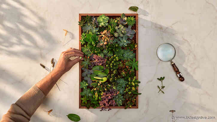 Nature & Nurture: The Caesarstone Edit