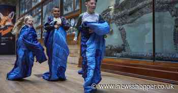 Sleepover with the kids at London's famous dinosaur museum