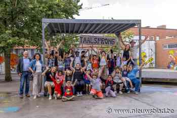 Elfde keer zomerschool De Taalsprong in Tielt