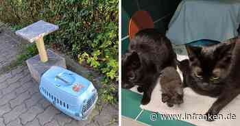 Tierheim Lichtenfels berichtet über traurigen Fund: "muss man Tieren nicht antun"