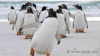 5 most beautiful Linux distributions: Feast your eyes on these