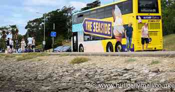 Brits hail going to seaside as most British activity this summer